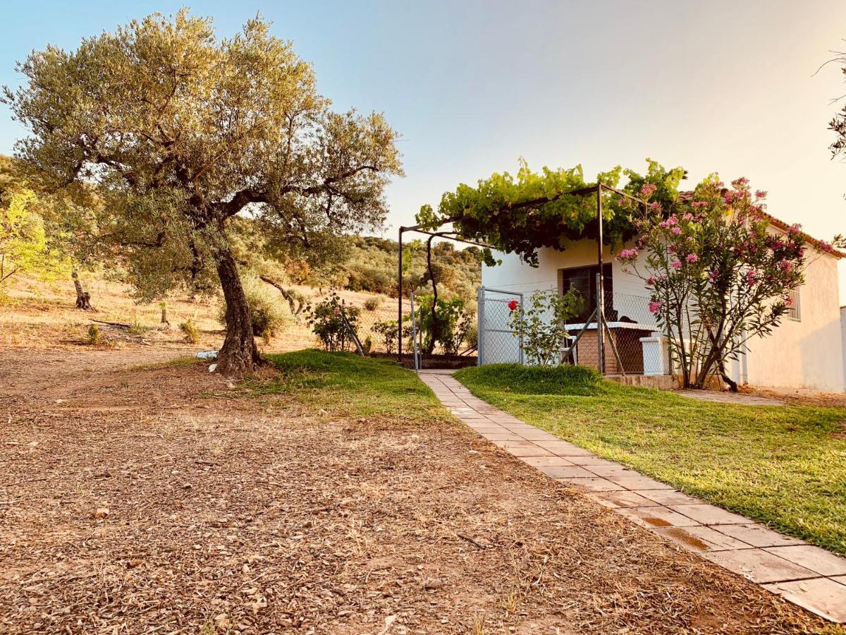 Casa Rural Arroyo Marco Guadalcanal Eksteriør billede